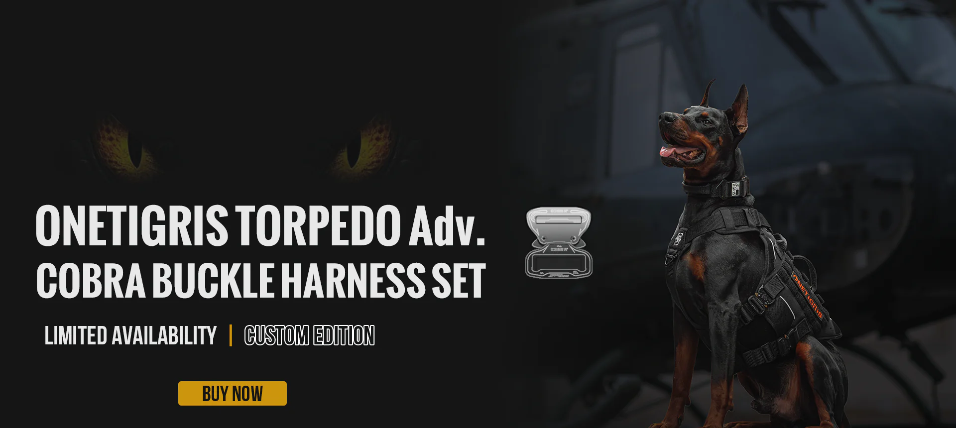 Welcome to Our Store